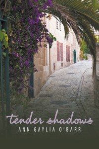 Tender Shadows Cover