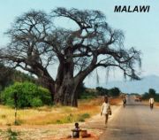 Malawa